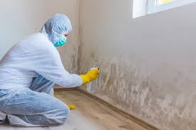 Best Crawl Space Mold Remediation  in Cottonwood, ID