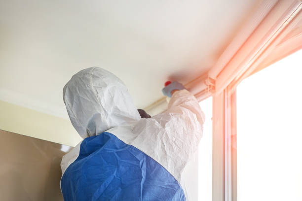 Best Emergency Mold Remediation  in Cottonwood, ID