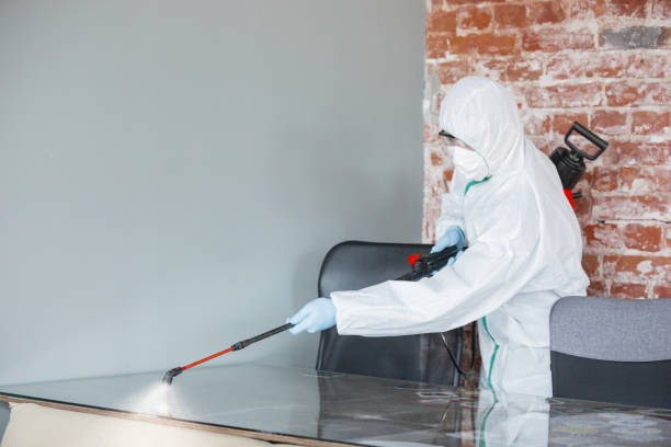 Best Mold Prevention Services  in Cottonwood, ID